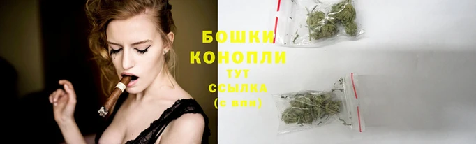 бошки Арсеньев