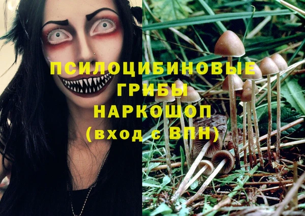 тгк Армянск