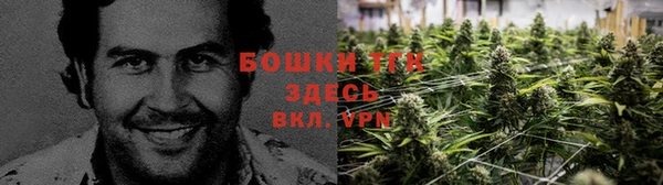 тгк Армянск