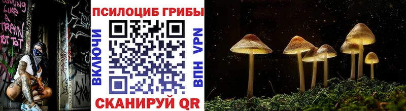 Псилоцибиновые грибы ЛСД Купить где Шахунья