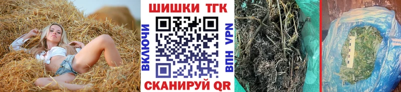 Купить где Шахунья Бошки марихуана ГИДРОПОН